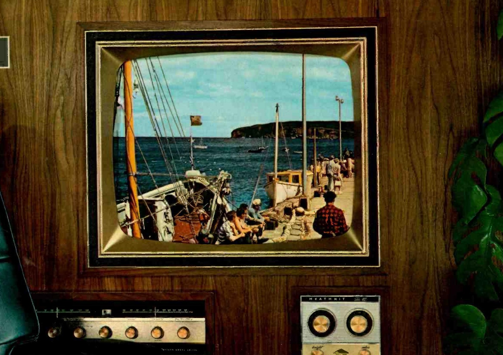 Television